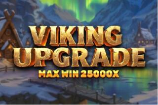 Viking 1000